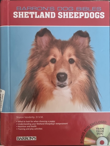 Shetland Sheepdogs