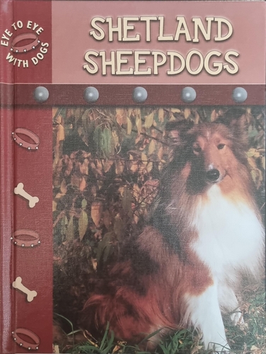 Shetland Sheepdogs