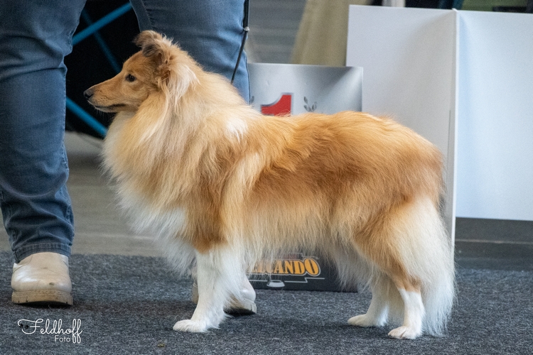 JKH Aponi vom Haubergsland