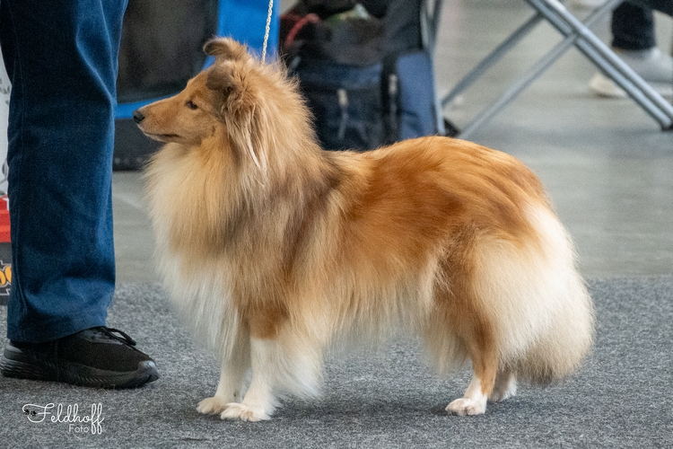 ChKH Follow your Nose Unique Lovestory