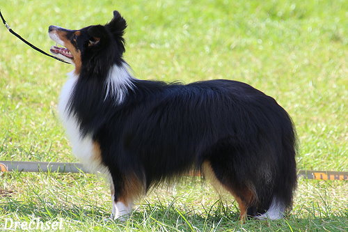 JKH Amideros Law of Attraction