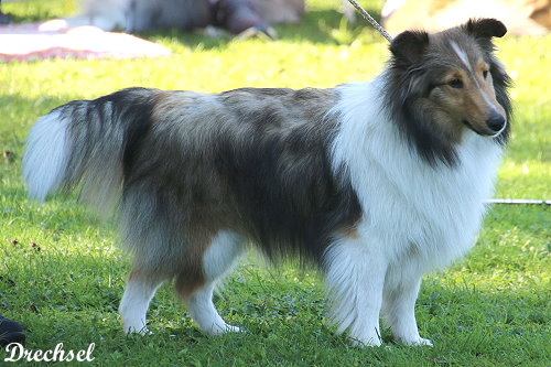 JKH Gossip Girl Di Sutri