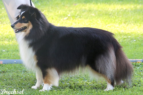 OKH Jess Limirle Janita