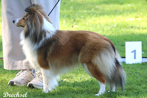 ZwKH Mai Tai from Cherryblossom Dream