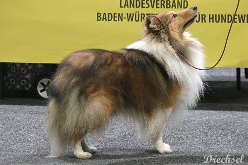 2026.03.15.Offenburg.OKR.Zephyr Sparks of the Tempest