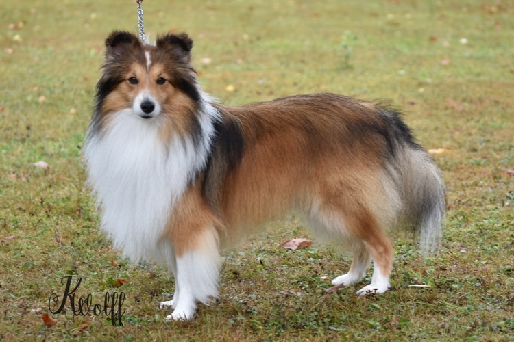 Nr07 OKR ET vom Hause Turner 500